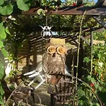 La Guejailliere B&B