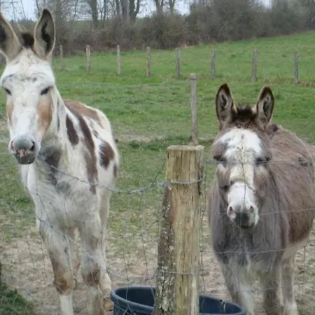 D'hôtes La Guéjaillière Bed and breakfast