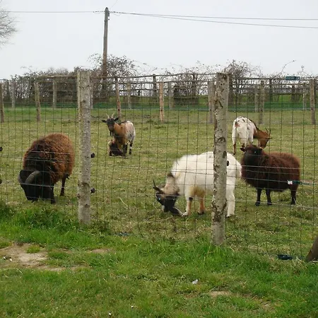 Bed and breakfast D'hôtes La Guéjaillière Beaumont-Pied-de-Boeuf (Sarthe)