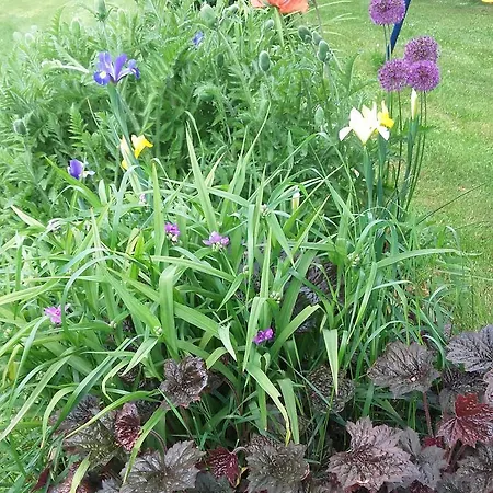 D'hôtes La Guéjaillière Bed and breakfast 3*