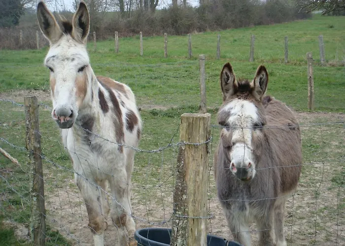 La Guejailliere 3* Beaumont-Pied-de-Boeuf (Sarthe)