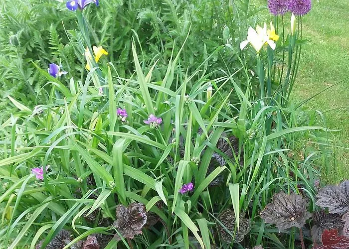 La Guejailliere Alojamento de Acomodação e Pequeno-almoço 3*